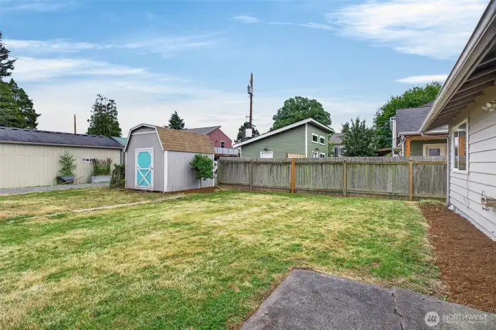 Large Backyard Large Backyard