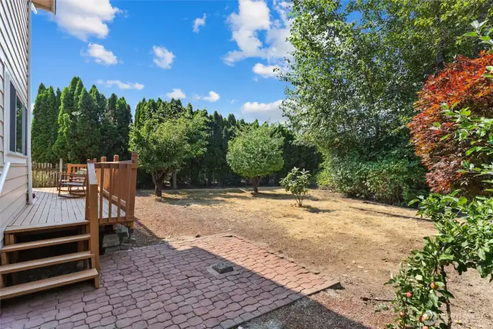 Backyard Backyard