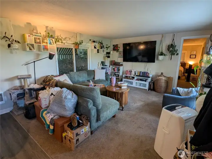 living room living room