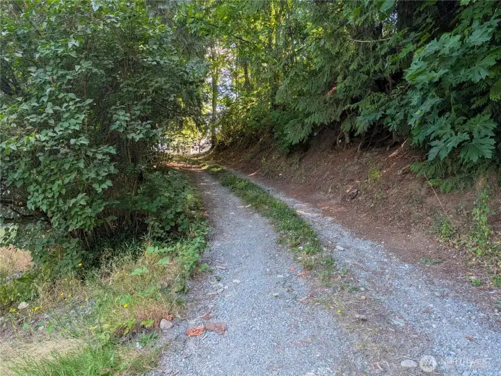 driveway driveway