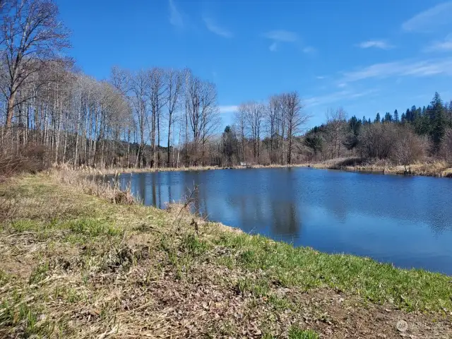 View of the pond lake from the West side
