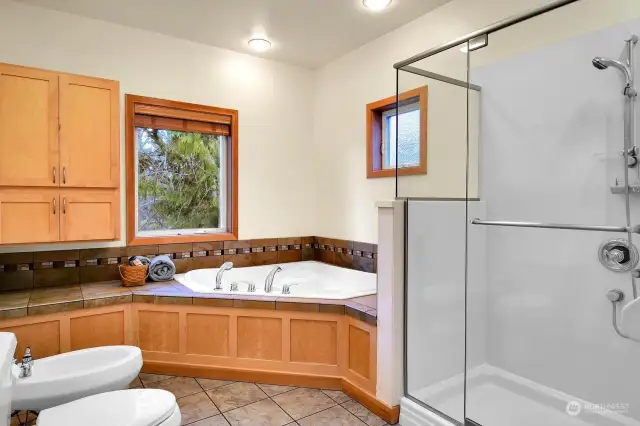 This portion of the ensuite bathroom features a jetted tub, a bidet, and a towel dryer.