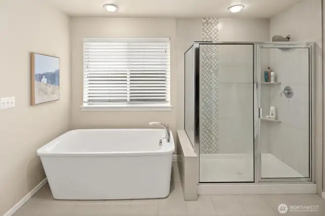 Owners suite bathroom