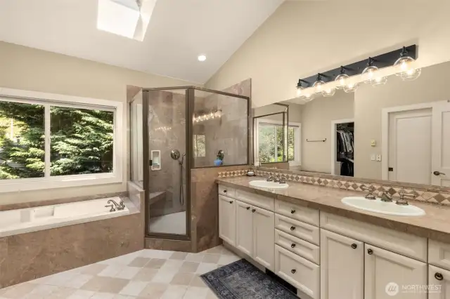 Primary bathroom with jacuzzi bathtub, shower, skylight and walk in closet.