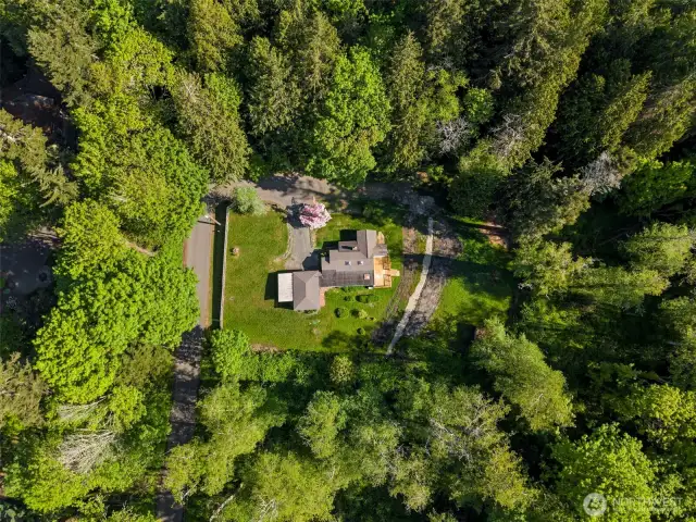 Nestled against woods on three sides, with a tall privacy fence along Kingston Street