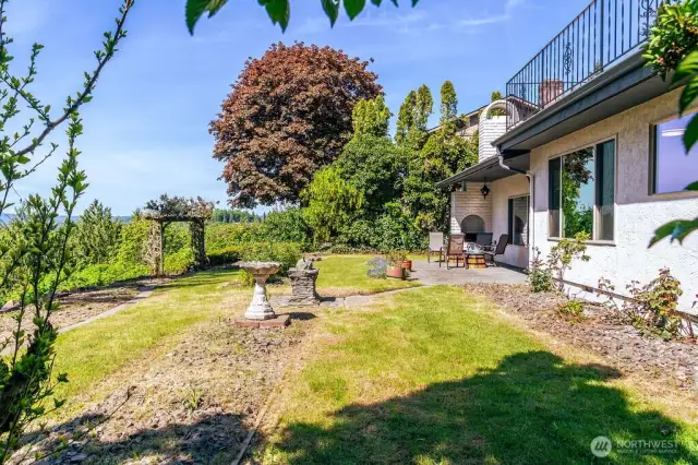 Back yard and patio.