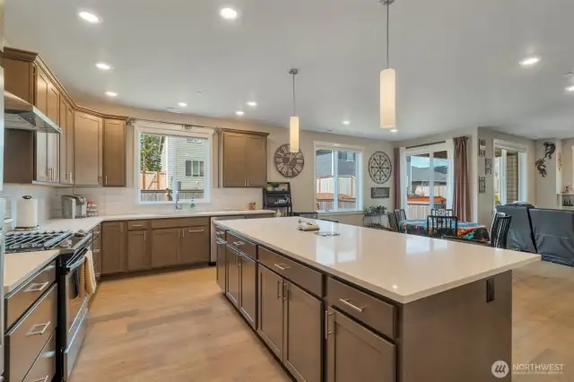 Chef's kitchen with large island