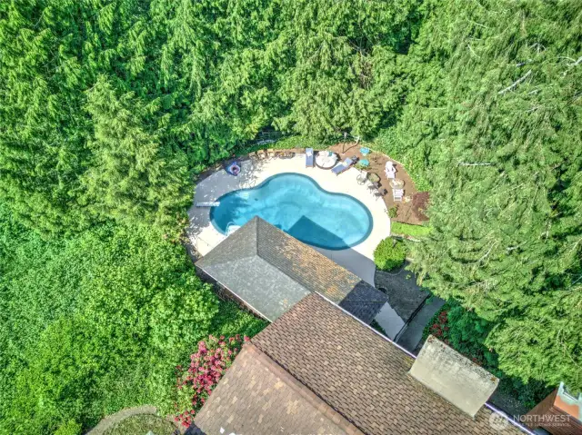 Aerial view of pool