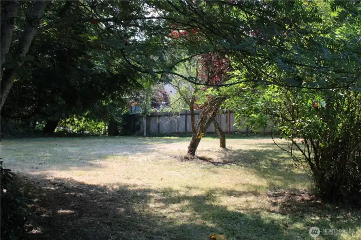 Big back yard