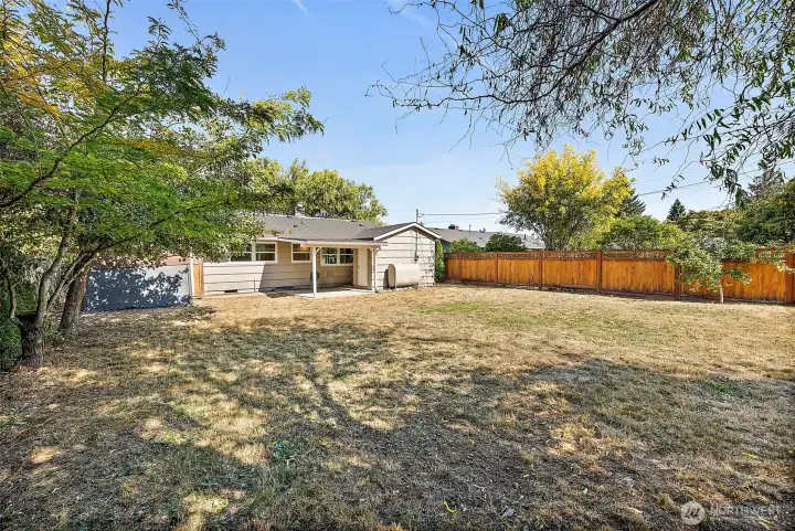Large Yard