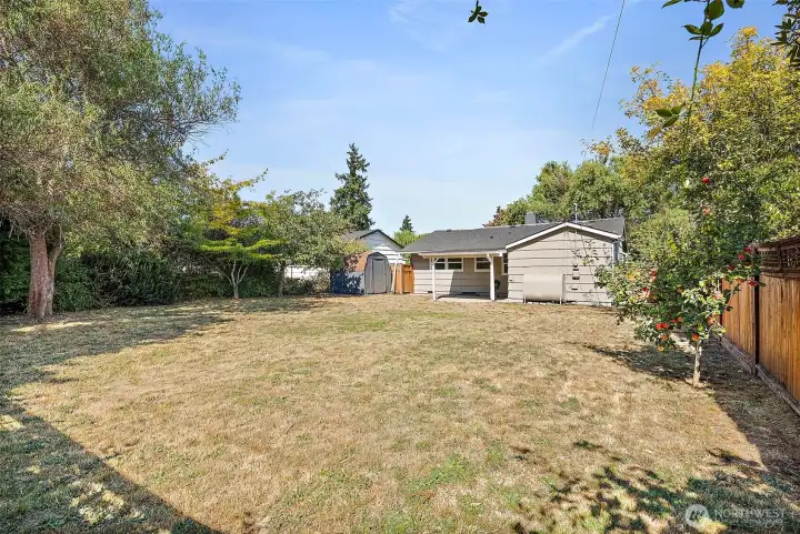Large Yard