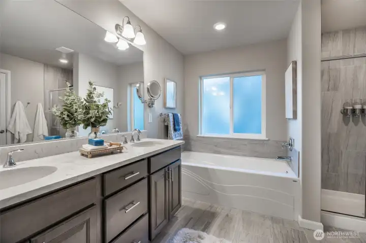 Beautiful primary bath