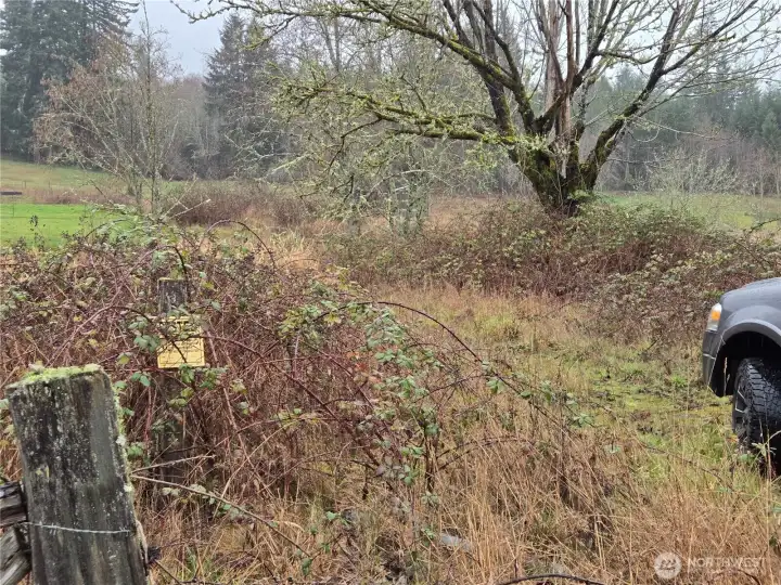 park here and walk into the property