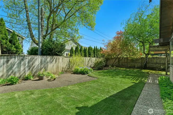 Manicured back yard