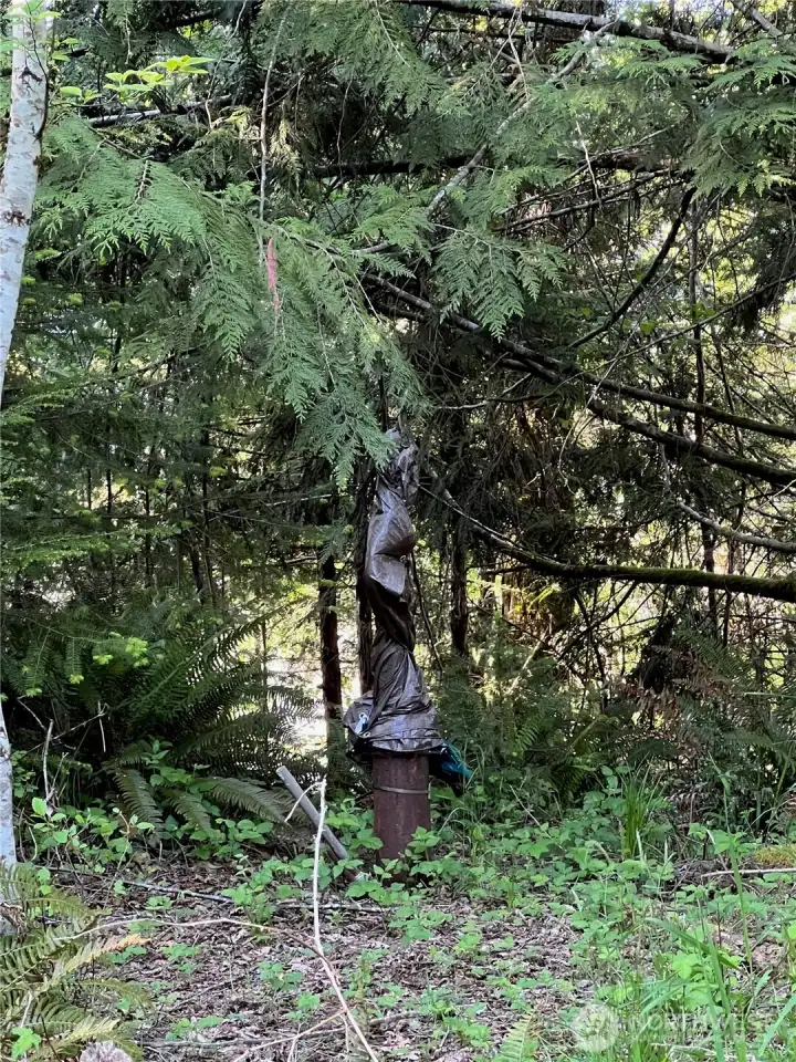 Well with pump.