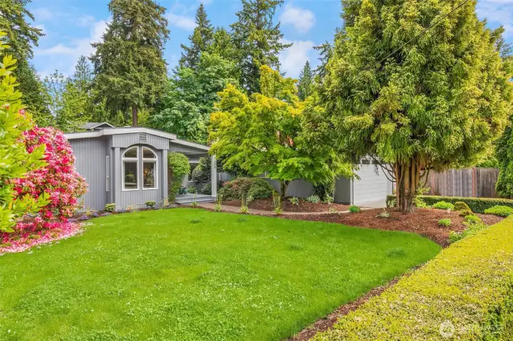 Stunning Mercer Island rambler on an expansive, level, park-like lot in the coveted central Ellis Pond neighborhood