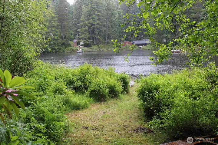 60Ft of lake front on Collins lake 60Ft of lake front on Collins lake