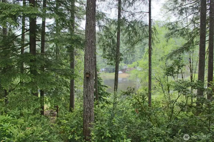 View from the picnic area and RV pad to the lake View from the picnic area and RV pad to the lake