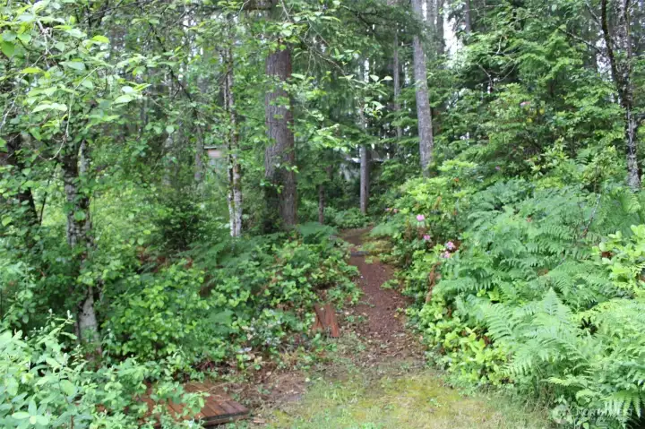 Looking up the trail heading to the Camping site from the lake. Looking up the trail heading to the Camping site from the lake.