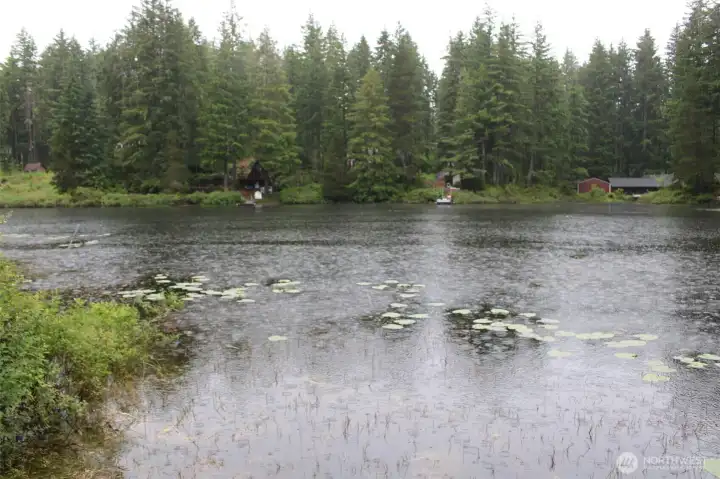 Collins Lake is a non-motorized lake for swimming, Kayaking and paddleboarding. Stocked each year for your fishing pleasure. Collins Lake is a non-motorized lake for swimming, Kayaking and paddleboarding. Stocked each year for your fishing pleasure.