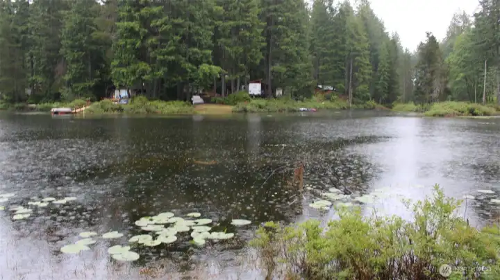 Surprised that the depth finder says this lake is up to 60 ft deep Surprised that the depth finder says this lake is up to 60 ft deep