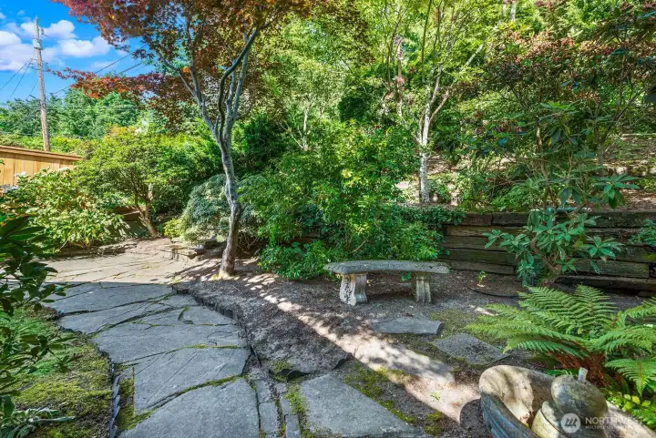 Another view of the backyard and pretty trees.