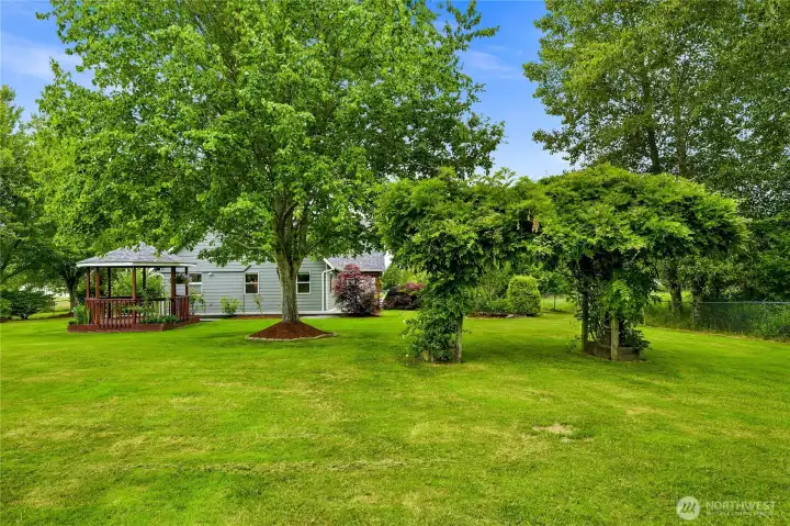 Park-like yard with numerous fruit trees