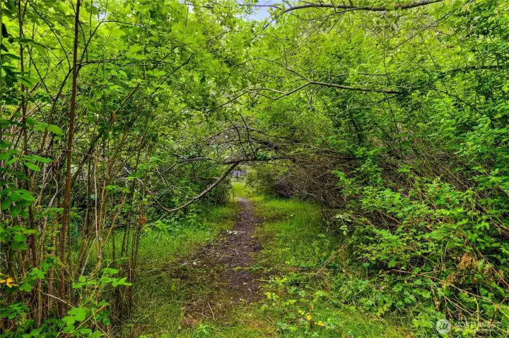 Wander down to the creek