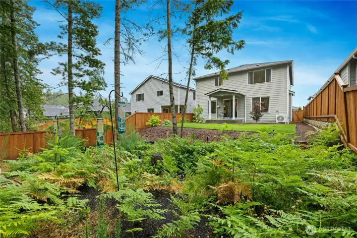 Beautiful native plants in backyard Beautiful native plants in backyard
