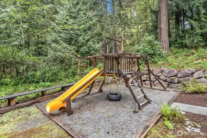 Playset included Playset included