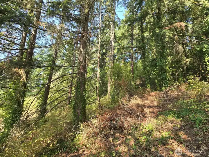 Land starts where trail ends.