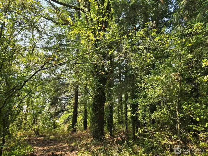 Land starts where trail ends.