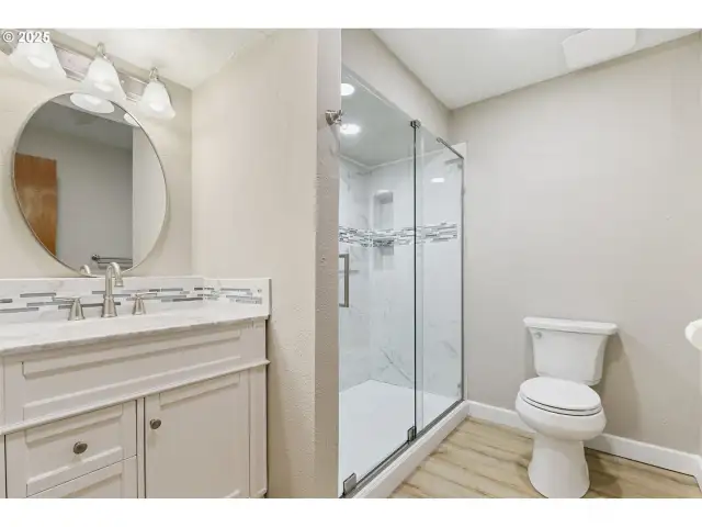 Lower level Bathroom