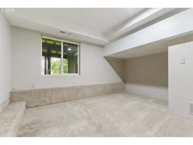 Lower Level Bedroom