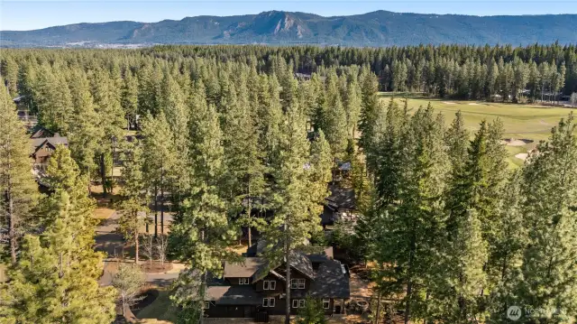 Placed amongst the pines, 1561 Coal Mine Way is just 1 hour from Bellevue with year-round access and amenities!