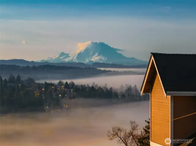 Mount Rainier in all its glory!