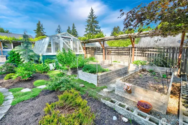Established and thriving garden