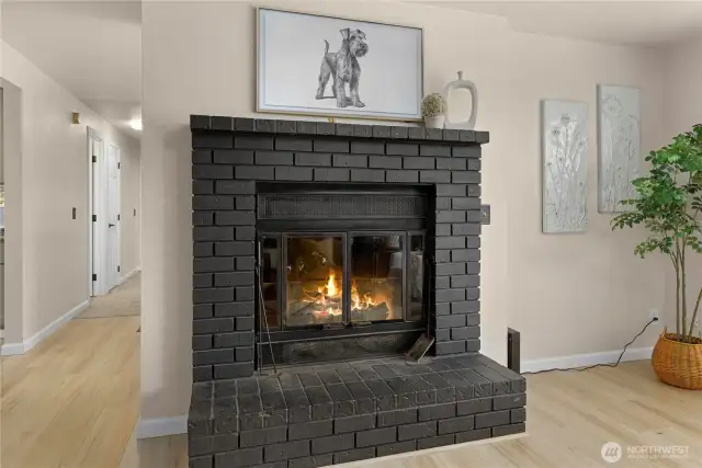 Wood burning fire place