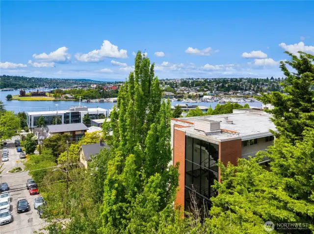 Welcome to your mid century modern condo!