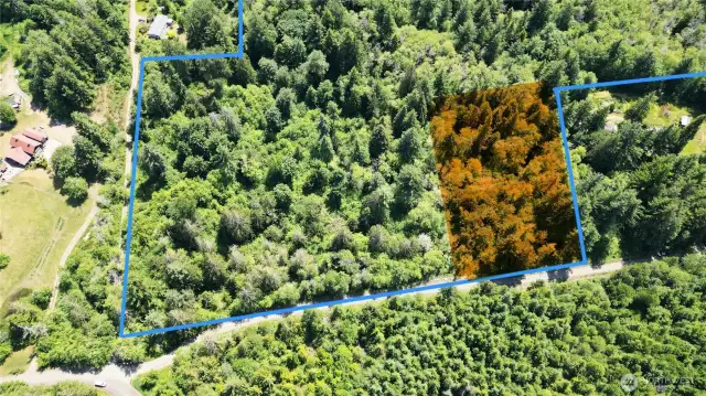Proposed building area