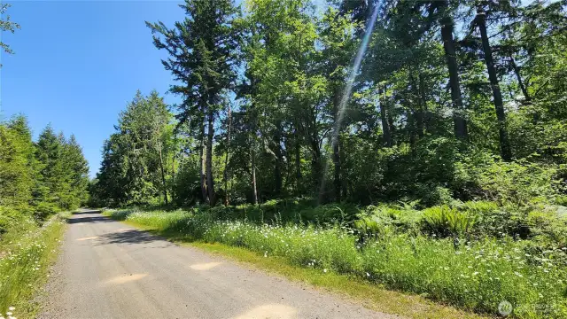 Easy gravel road access to proposed building area.