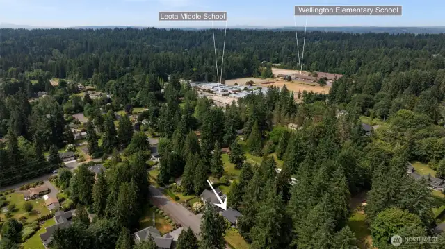 Ariel view. Leota Middle School is only a couple blocks away and Wellington Elementary is right next door to Leota!