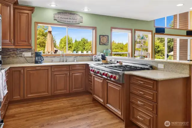 Kitchen with upgraded Wolf cooktop and down draft vent.