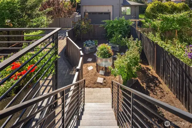 back yard