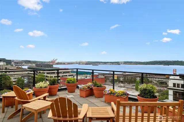 You deserve these views! View of the Sound, Elliot Bay, Mt. Rainier, the Olympic Mountains, and more.