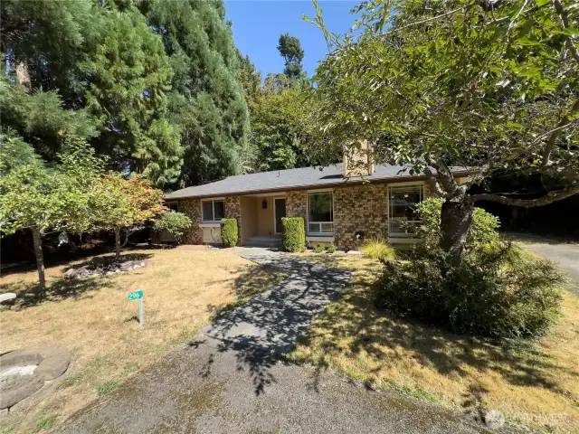 Front Yard
