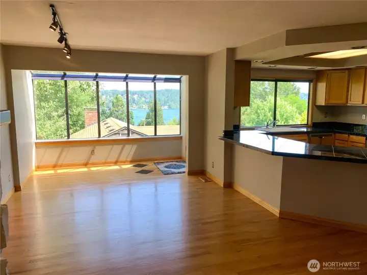 Great views of Lake Washington