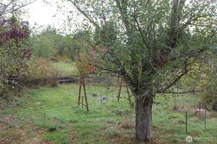 Swing set in the backyard
