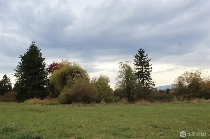 Feild between home and airstrip