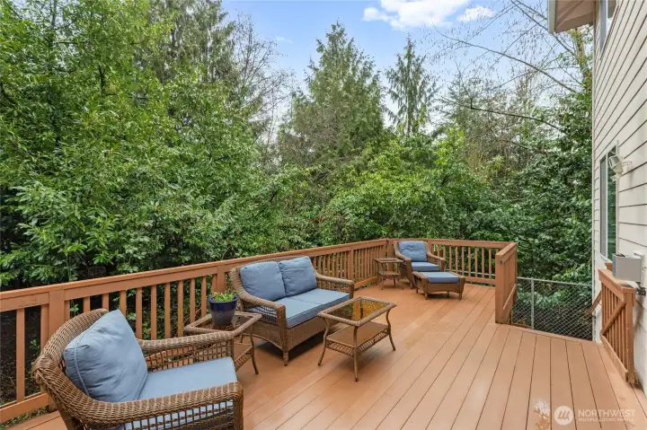 This property is a rare find, bordered by a protected natural growth area that provides an evergreen wall of privacy. Low-maintenance landscaping. Ideal for both quiet relaxation and large-scale summer gatherings.